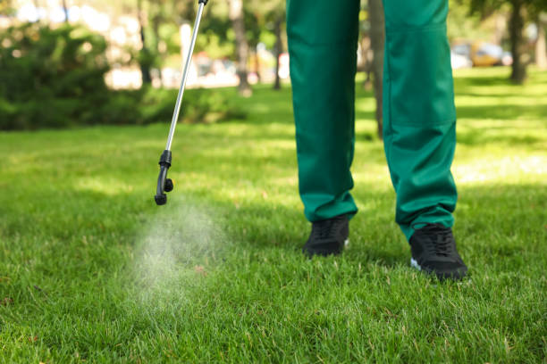 Best Exterminator Services  in Elwood, KS
