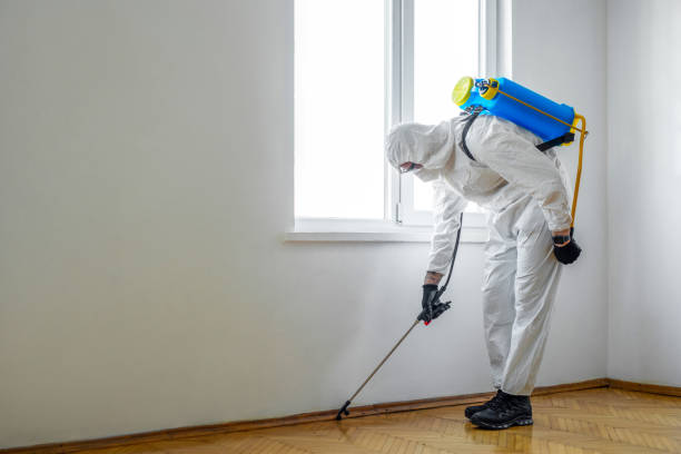 Best Bed Bug Extermination  in Elwood, KS