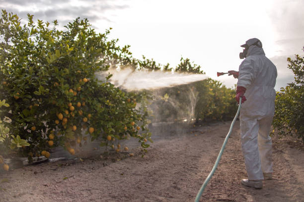 Best Best Pest Control Companies  in Elwood, KS
