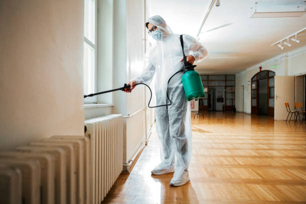 Best Flea Control Services  in Elwood, KS