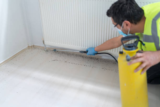 Best Ant Control Services  in Elwood, KS