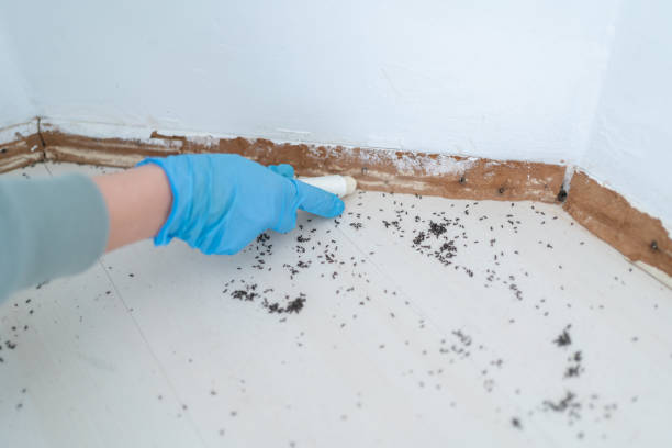 Best Pest Inspection Near Me  in Elwood, KS